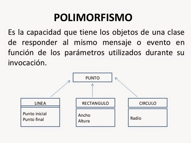 polimorfismo.jpg